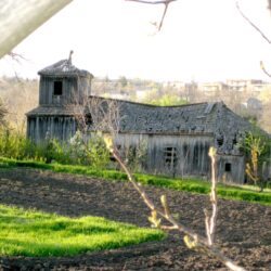 BISERICA FARA HRISTOS ESTE CONDAMNATA LA DISPARITIE