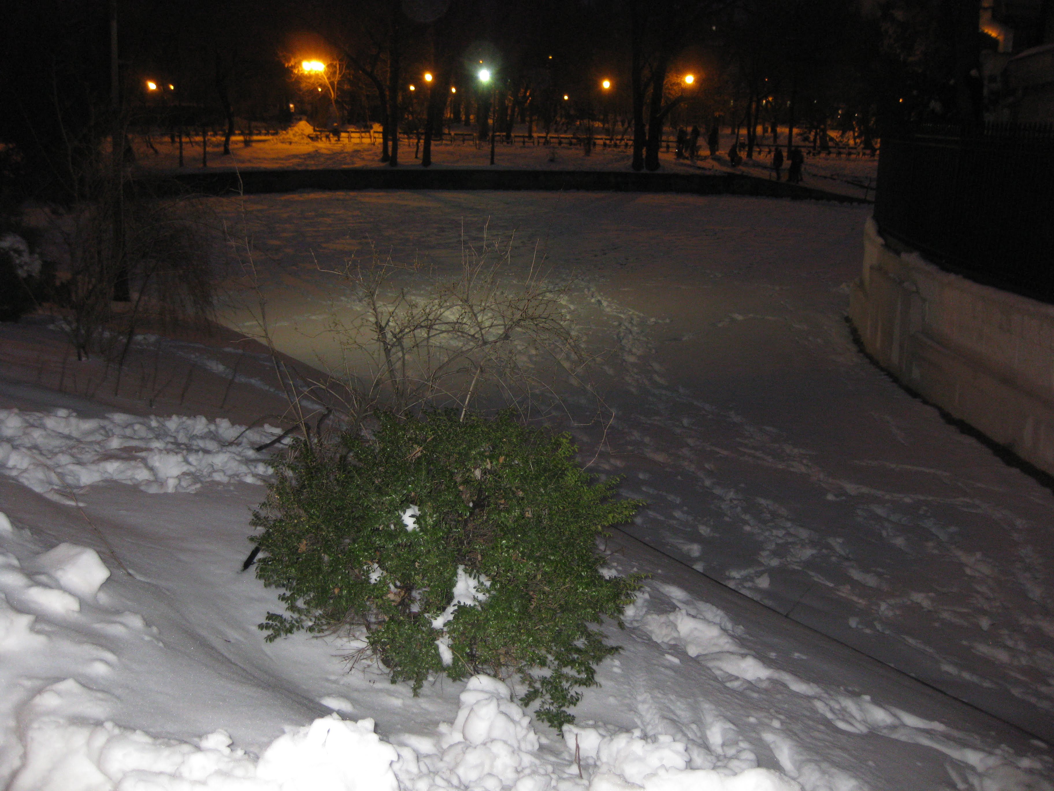 DUPA VENIREA PRIMAVERII A VENIT IARNA IN PARCUL CISMIGIU - 24 MARTIE 2018