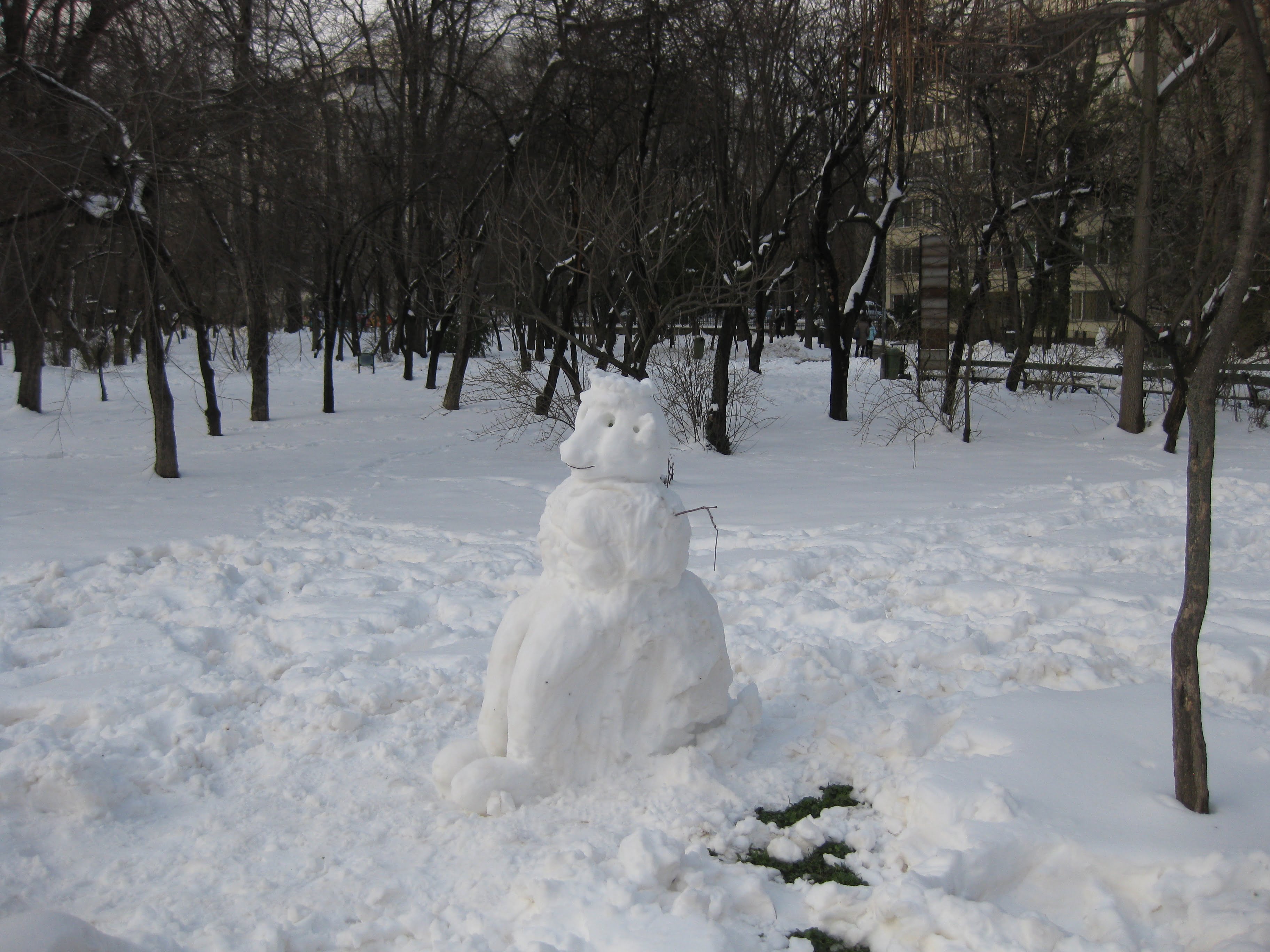 OMUL DE ZAPADA DIN PARCUL CISMIGIU - BUCURESTI - 24 MARTIE 2018