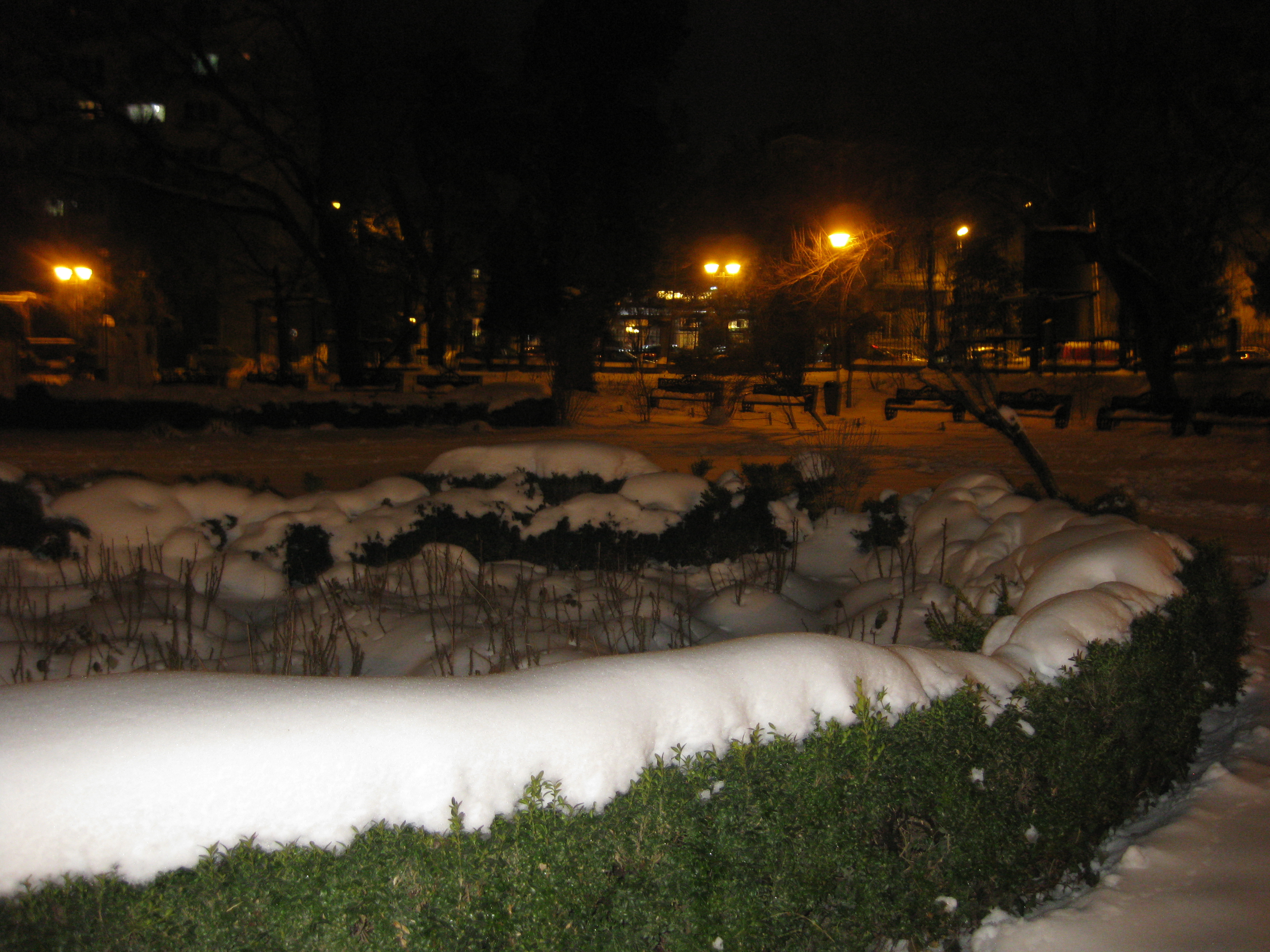 PRIMAVARA A FOST INFRANTA DE IARNA IN PARCUL CISMIGIU - 24 MARTIE 2018