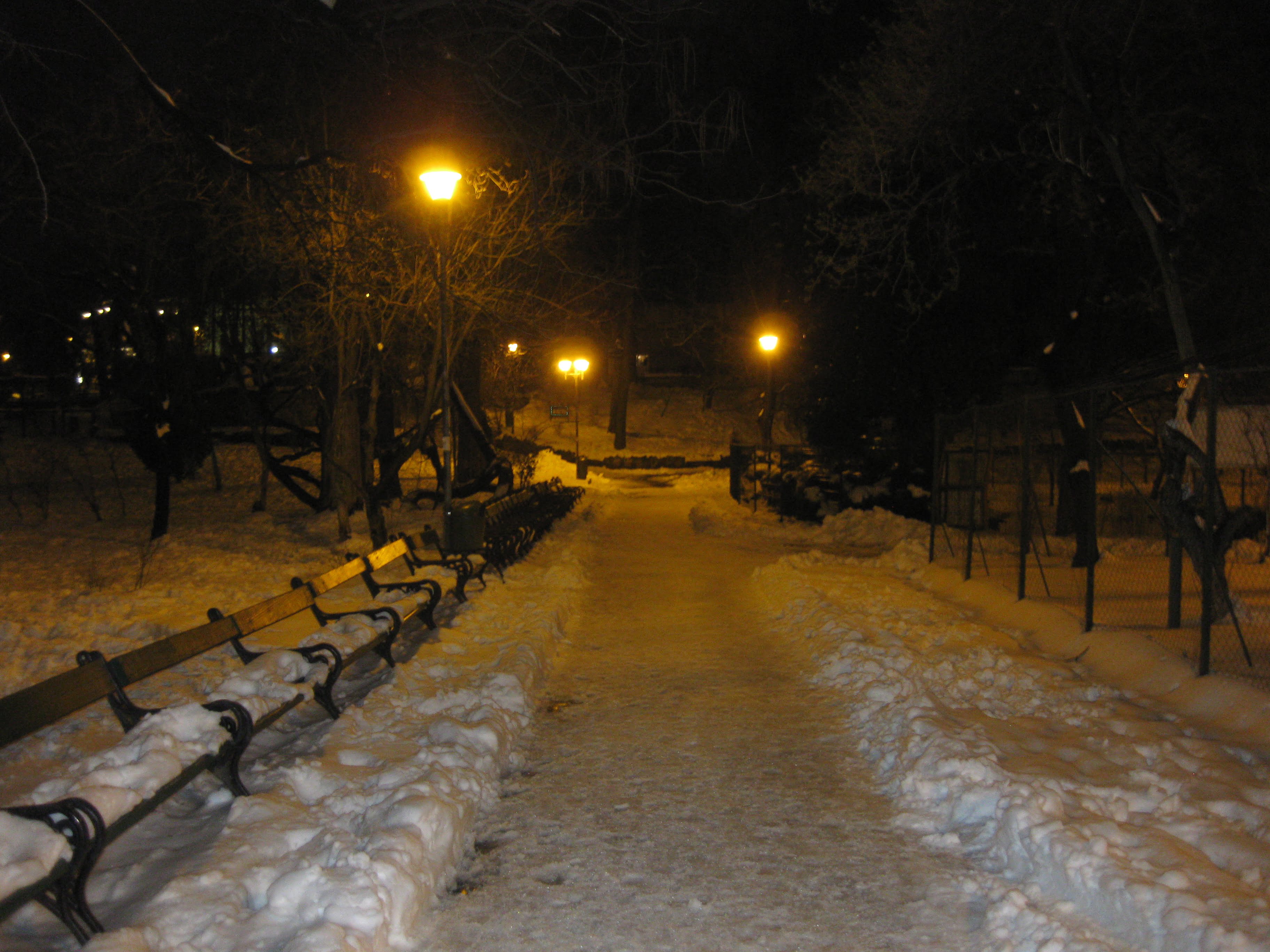 PRIMAVARA ALUNGATA DE IARNA IN PARCUL CISMIGIU DIN BUCURESTI - 24 MARTIE 2018