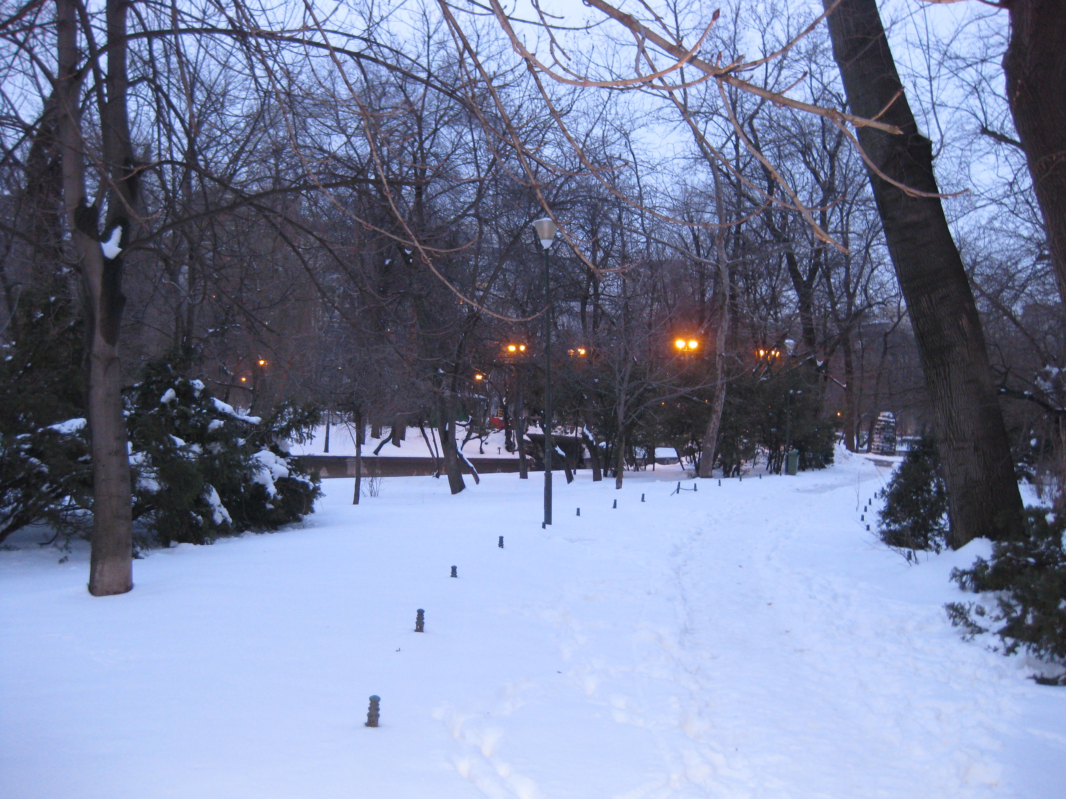 ZAPADA ACOPEREA PARCUL CISMIGIU DIN BUCURESTI IN 24 MARTIE 2018