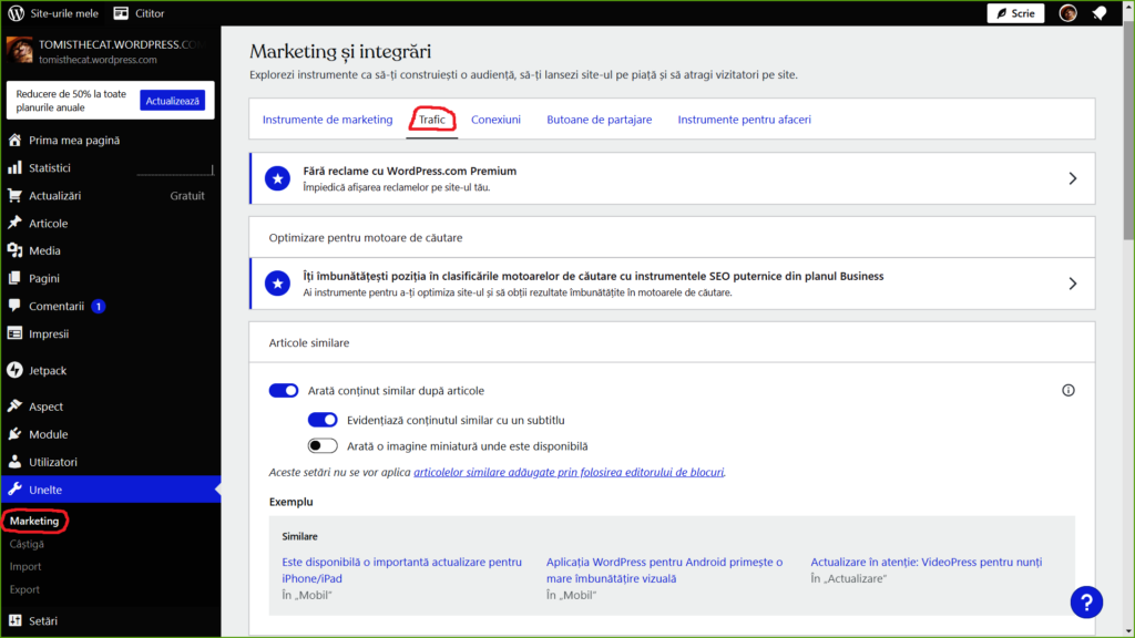 JUMATATEA SUPERIOARA A PAGINII WEB MARKETING SI INTEGRARI DIN PANOUL DE CONTROL WORDPRESS.COM